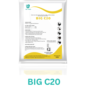 BIG C20