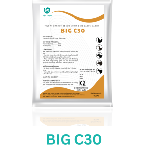 BIG C30