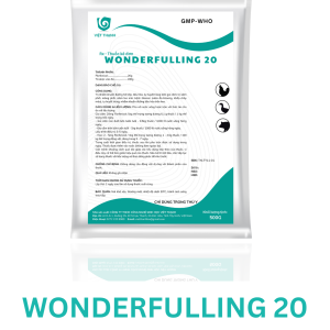 WONDERFULLING 20