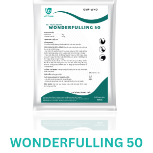 WONDERFULLING 50
