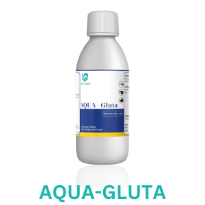 AQUA - GLUTA