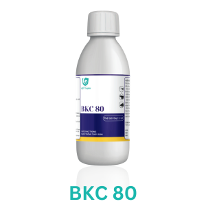 BKC 80