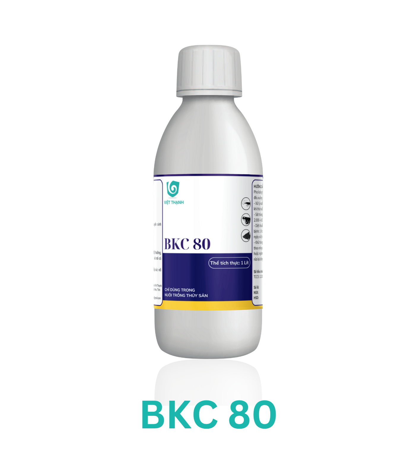 BKC 80
