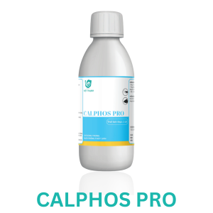 CALPHOS PRO