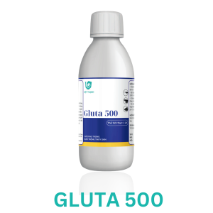 GLUTA 500