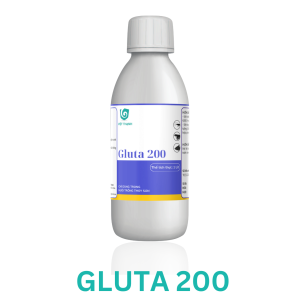 GLUTA 200